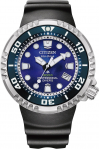 BN1025-08L.jpg